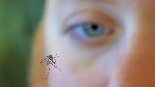 CDC warns of early, intense West Nile wave