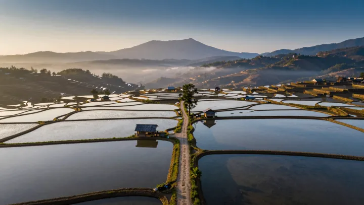 The Quiet Physics Behind Ancient Rice Terraces