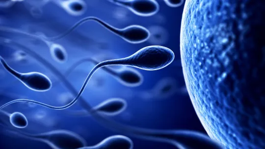 Air pollution tied to sperm DNA shifts