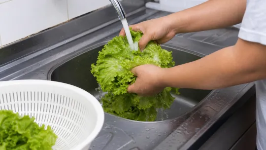What to know about the cyclosporiasis outbreak