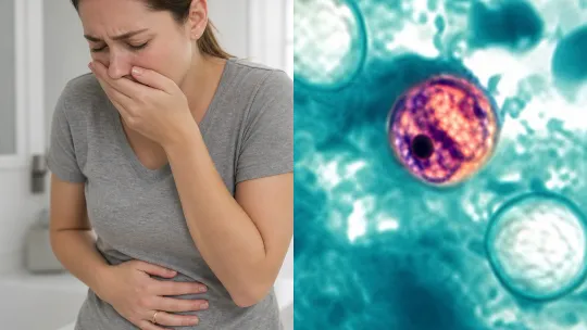 Cyclosporiasis cases raise alarm in California