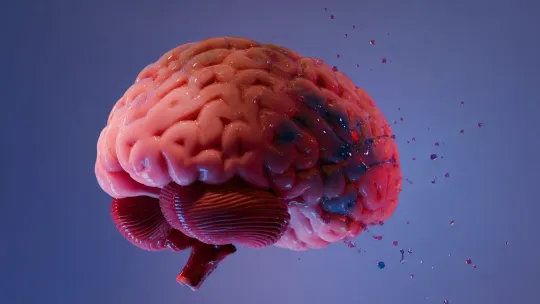 India charts a new atlas of the brainstem