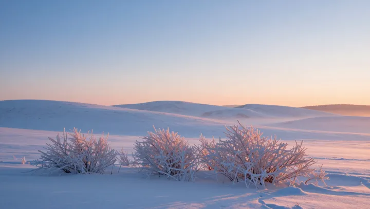 The restless physics inside silent snow