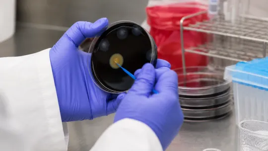 Second Death in Manhattan Legionnaires’ Cluster