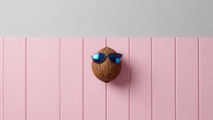 Coconut Shells And Natural Crash Protection