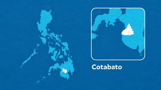 Rabies death in Cotabato sparks urgent tracing