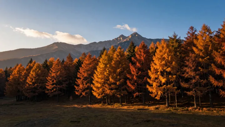 How Leaves Keep Time Better Than Weather