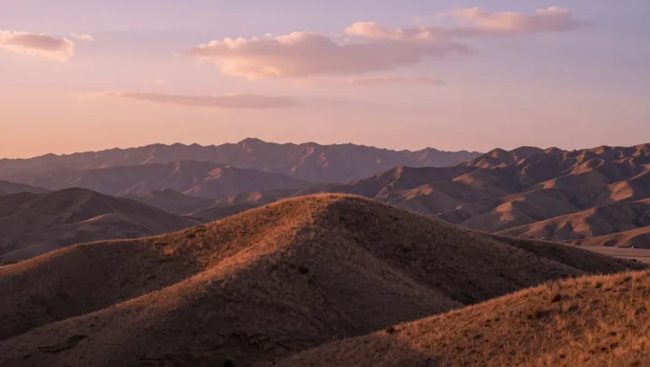 Silent desert, ruthless contest
