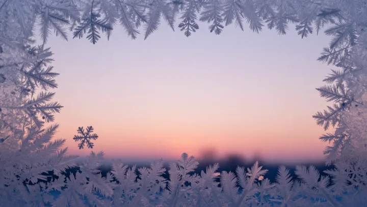 The Hidden Geometry Inside Frost