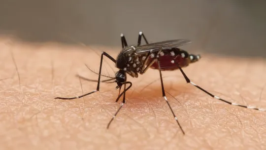 Cebu dengue rise sparks guarded concern
