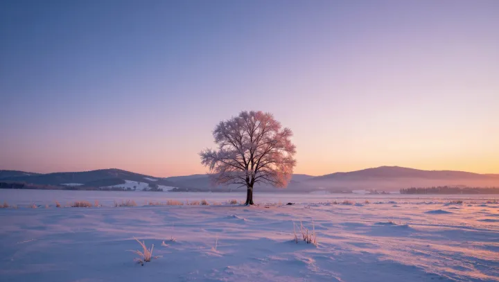 How A Frozen Tree Keeps Its Cells Intact