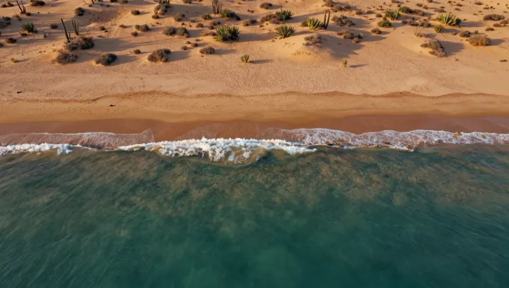 Why Some Coasts Stay Knife-Edge Sharp