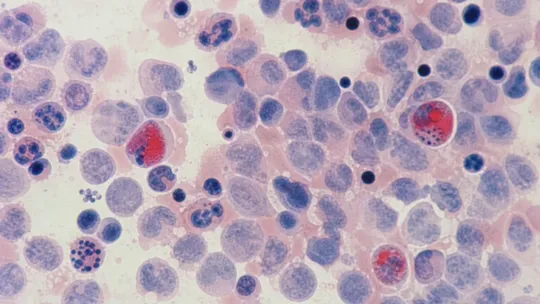 Younger Bodies, Older Biology