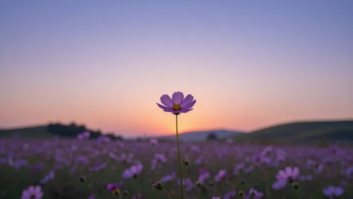 The Single Flower Effect