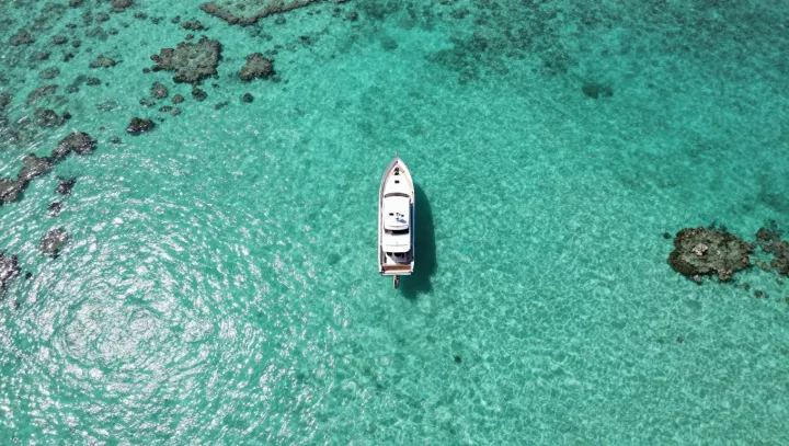 Why Water Calms You Faster Than Apps