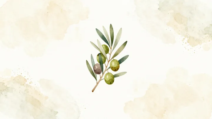 How the Olive Branch Learned to Speak Peace