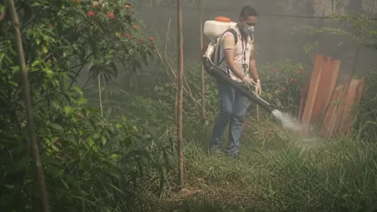 Dengue spike alarms Cebu City officials