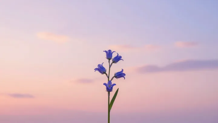 How Bellflowers Stand Without Any Bones