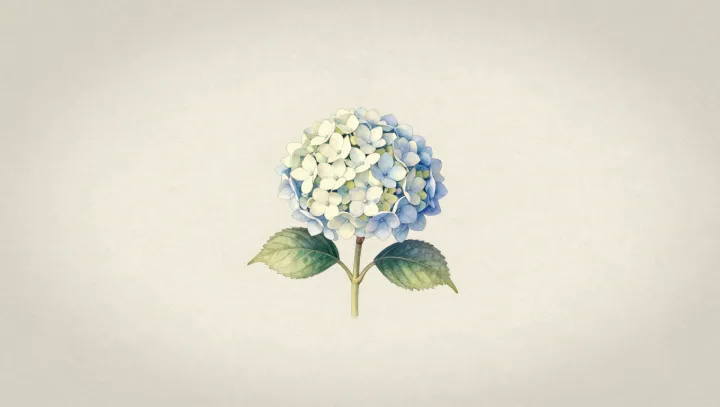 Why a painted hydrangea soothes the brain