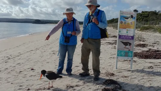 Bird flu shatters Australia’s sense of distance