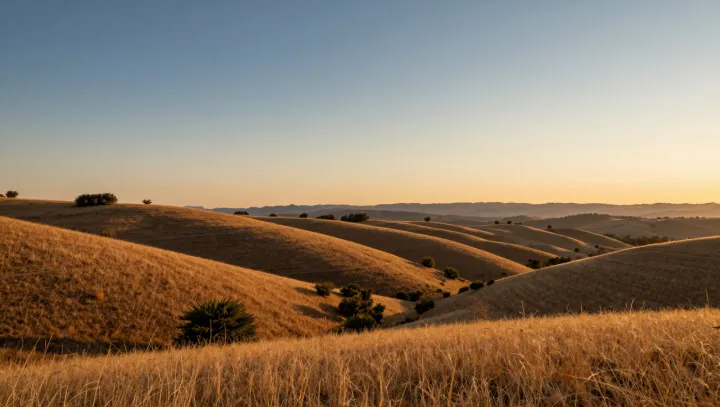 Why a Plain Hill Can Overpower a Park