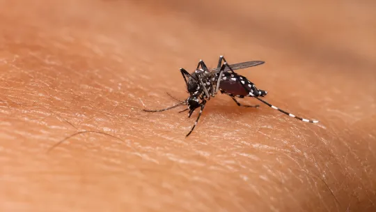 Africa’s malaria map is being redrawn