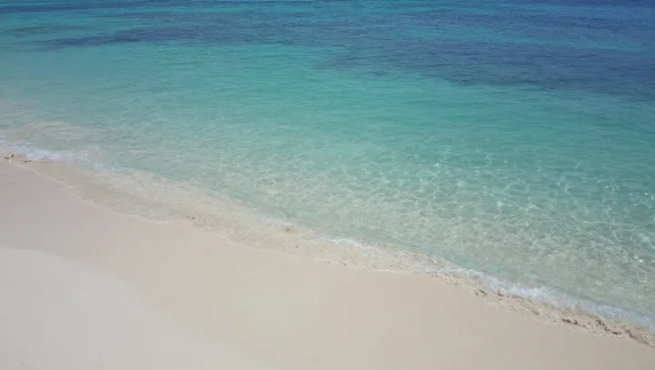 Why Tropical Water Flips From Neon to Ink