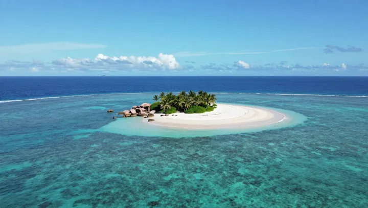 How Rice-Sized Corals Build Island Walls