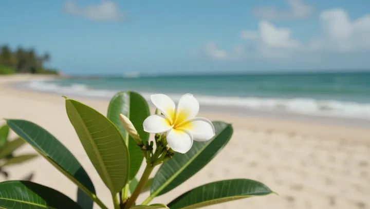 The Quiet Dopamine Logic Of A White Beach Flower