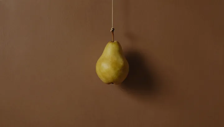 How Still-Life Painters Hijacked Vision