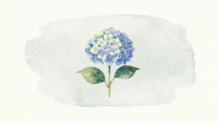 How Soil Chemistry Paints Hydrangea Blooms