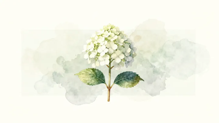 The Physics Behind Soft-Edged Watercolor Blooms