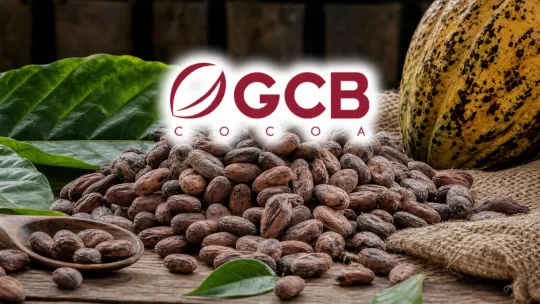 Lonjakan Keuntungan Guan Chong 424.9%
