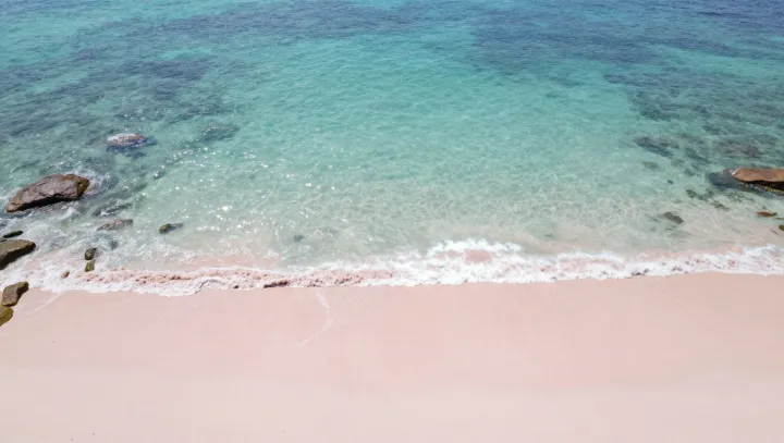 The physics behind pink tropical shores