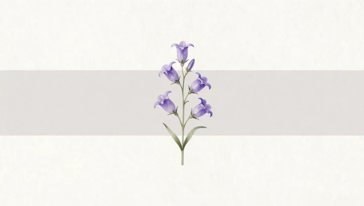 How Bellflowers and Gravity Create a Hidden Filter for Pollinators