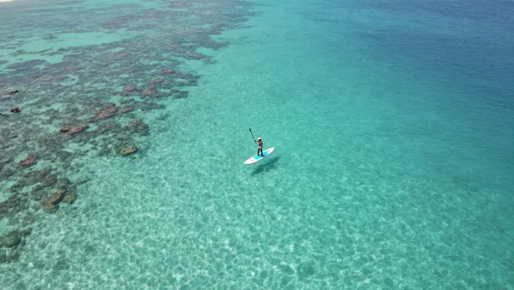 When a Paddleboard Suddenly Feels Weightless