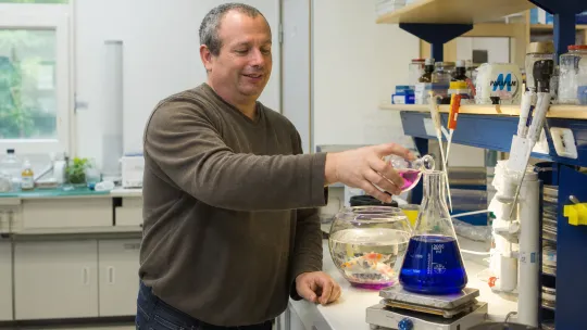 Israeli carp study hints at viral resistance