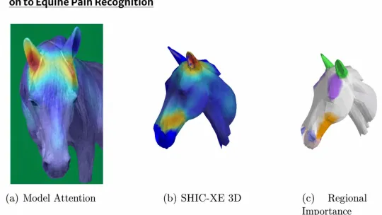 AI that listens when horses hurt