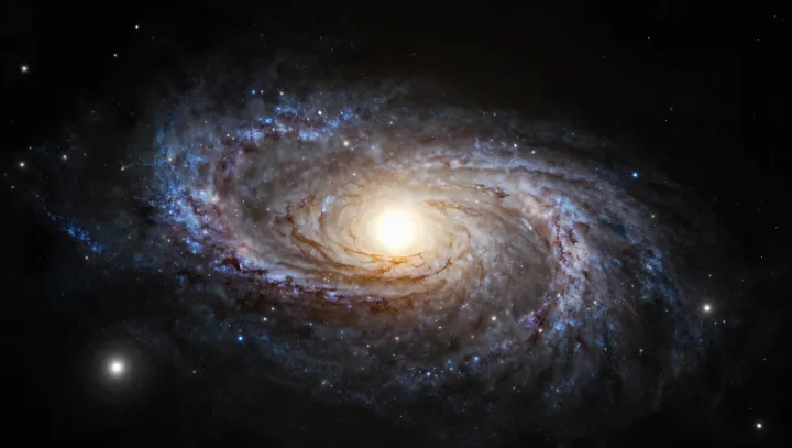 Why Spiral Galaxies Keep Their Graceful Arms