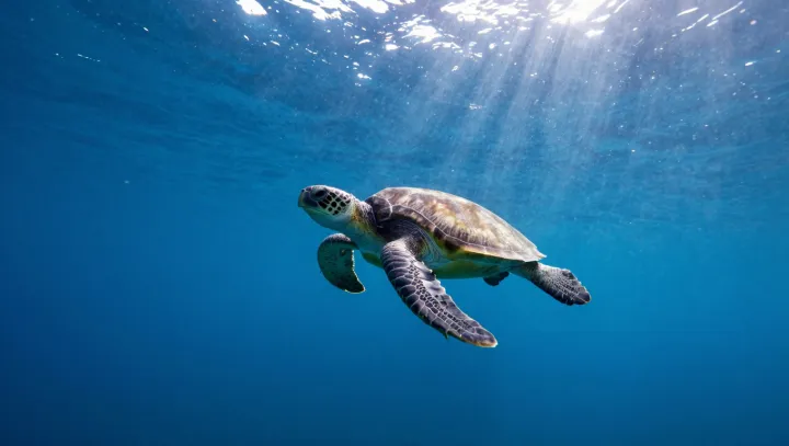 How Evolution Turned Reptile Limbs into Powerful Ocean Wings