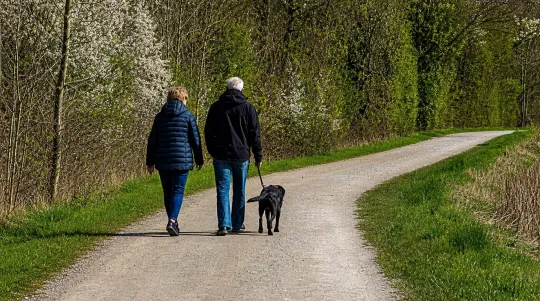 A Faster Walk May Count More