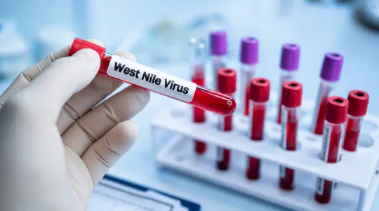 Belgium Flags Five Probable West Nile Cases