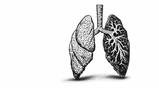 SG-Pembrolizumab Pairing Misses PFS Goal