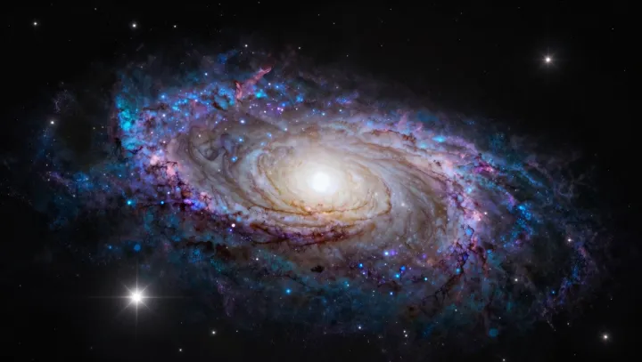 Why Spiral Arms Do Not Hold the Same Stars