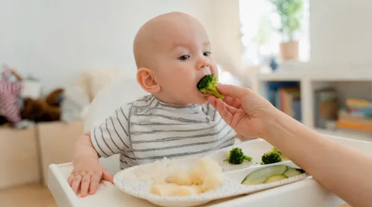 First Foods Rewire the Infant Gut