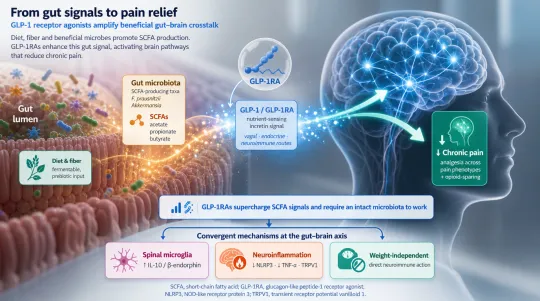 GLP-1 Drugs May Reshape Chronic Pain