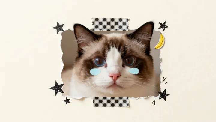 Watery Kitten Eyes Rarely Mean Sadness