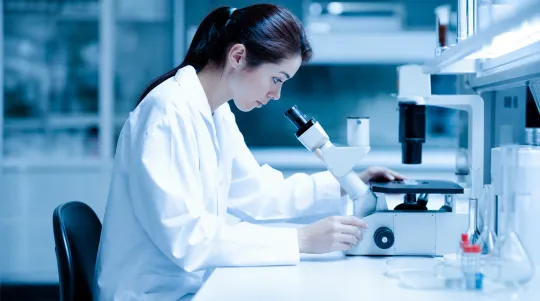 COVID Immunity Reaches Bat Viruses
