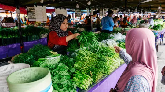 FAMA Buka Outlet, Uji Kecekapan