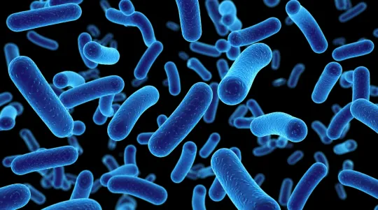 $13.1 Million Backs Bacterial Therapies
